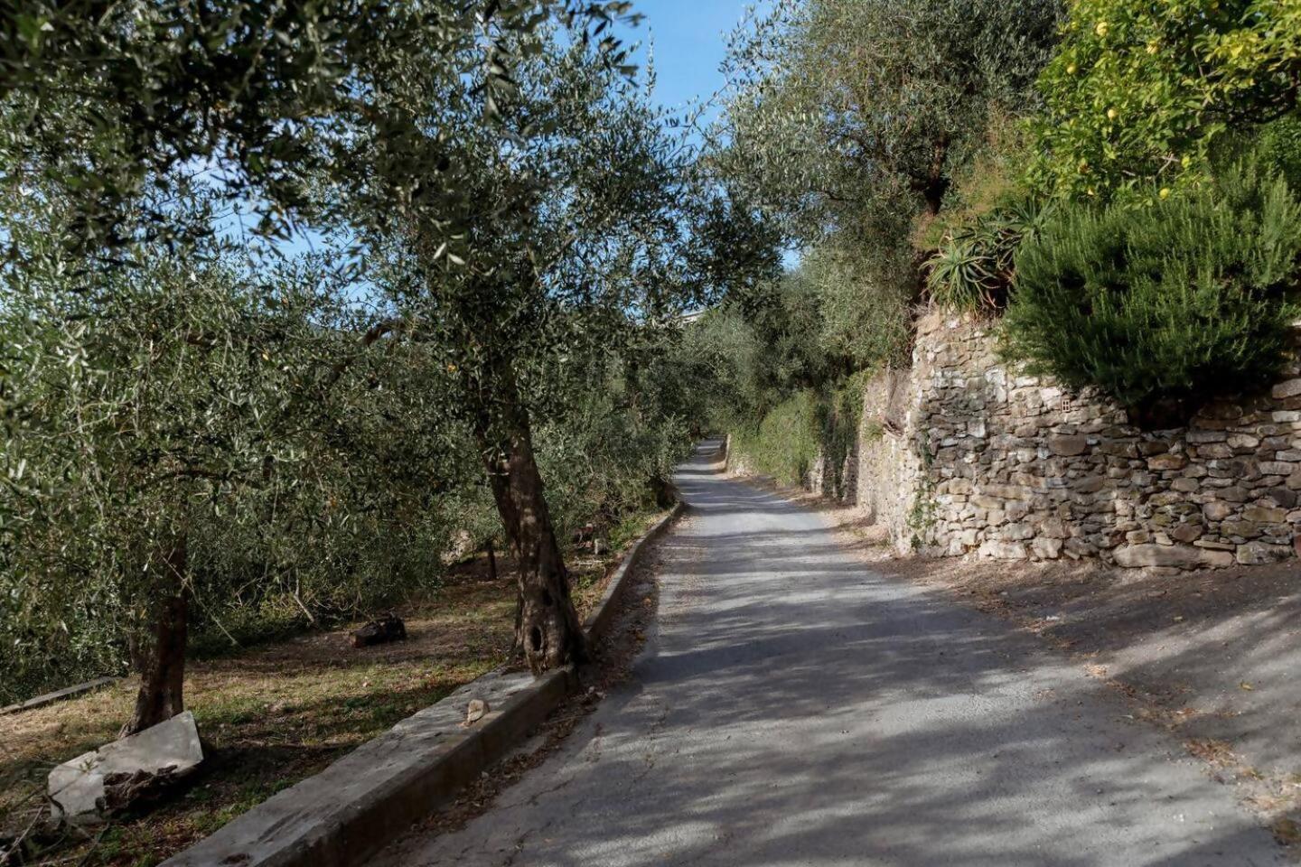 Appartamento Alba Dachi Farm Andora Екстер'єр фото