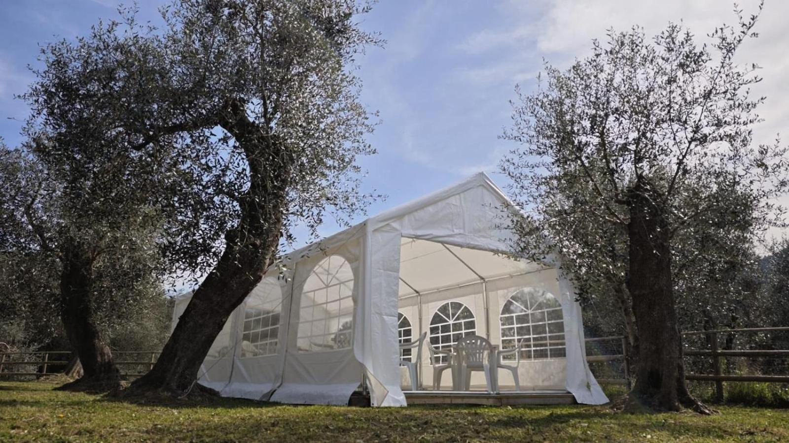 Appartamento Alba Dachi Farm Andora Екстер'єр фото